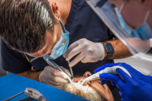 Dentiste avec son patient